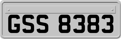 GSS8383
