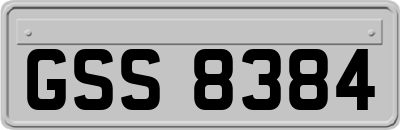 GSS8384