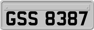 GSS8387
