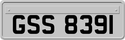 GSS8391