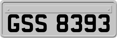 GSS8393
