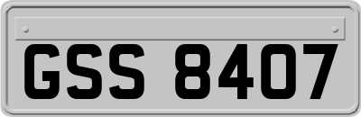 GSS8407