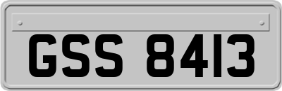 GSS8413