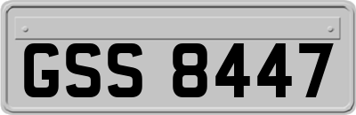GSS8447