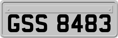 GSS8483