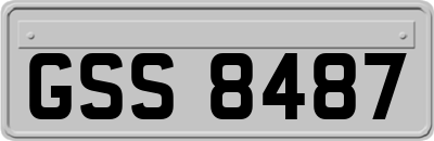 GSS8487