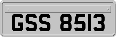 GSS8513