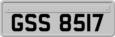 GSS8517
