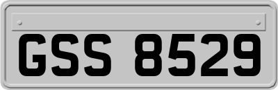 GSS8529