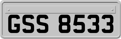 GSS8533