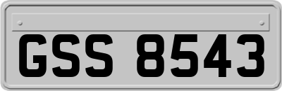 GSS8543