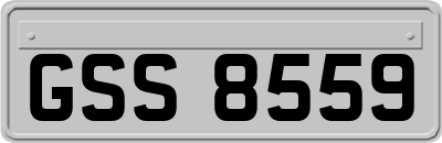 GSS8559