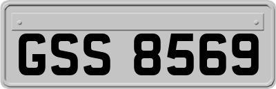 GSS8569