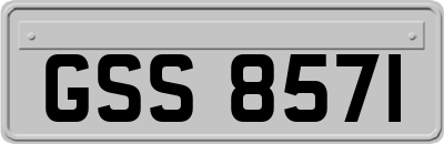 GSS8571