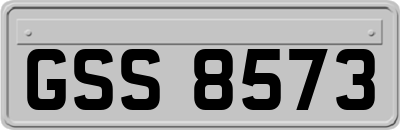 GSS8573