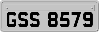 GSS8579
