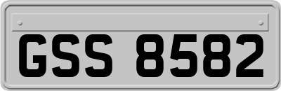 GSS8582