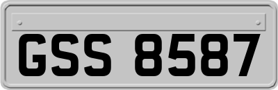 GSS8587