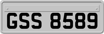 GSS8589