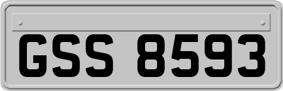 GSS8593
