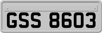 GSS8603
