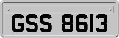 GSS8613