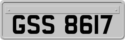 GSS8617