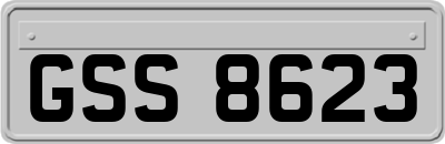 GSS8623