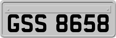 GSS8658