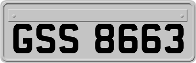 GSS8663