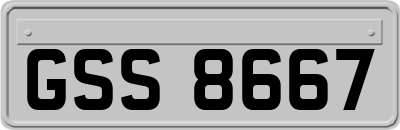 GSS8667