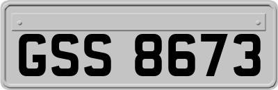 GSS8673