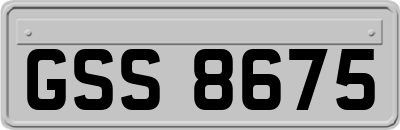 GSS8675