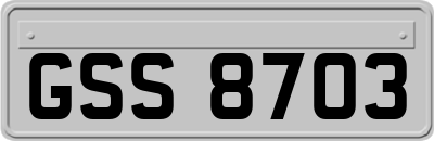 GSS8703