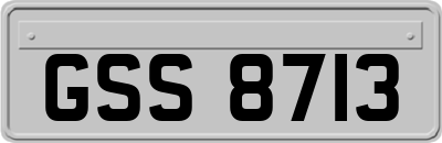 GSS8713
