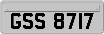 GSS8717