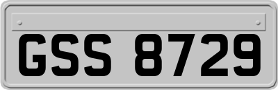 GSS8729
