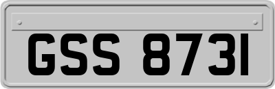 GSS8731