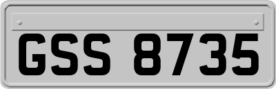 GSS8735