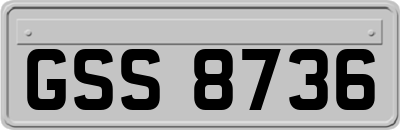 GSS8736