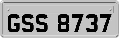 GSS8737