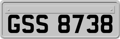 GSS8738