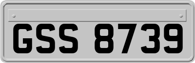 GSS8739