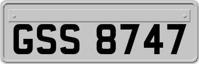 GSS8747