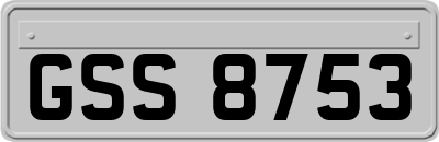 GSS8753