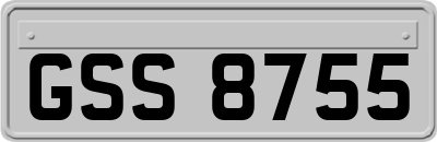 GSS8755