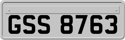 GSS8763