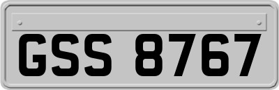 GSS8767