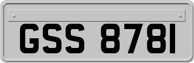 GSS8781