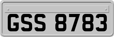 GSS8783
